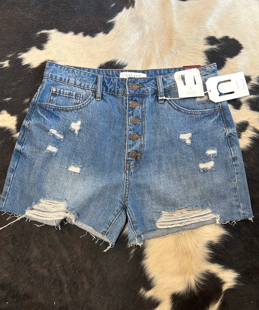 High Rise Distressed Shorts